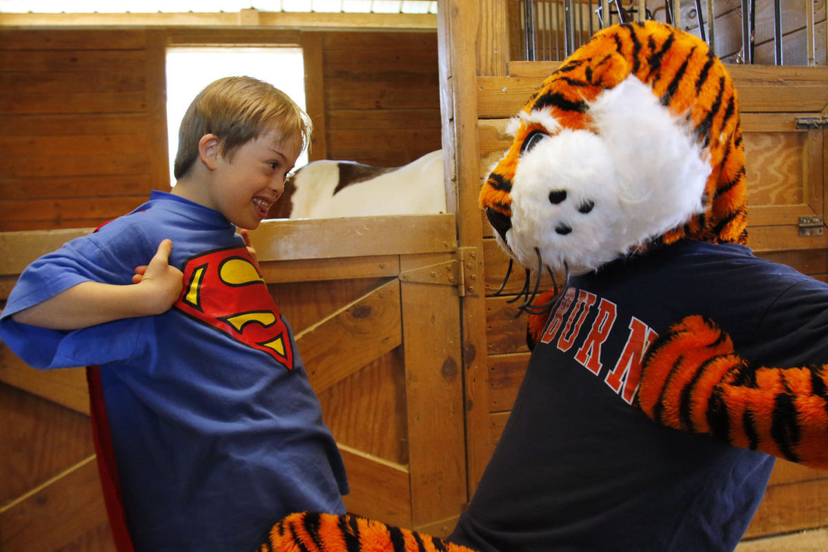 Aubie at Storybook Farm